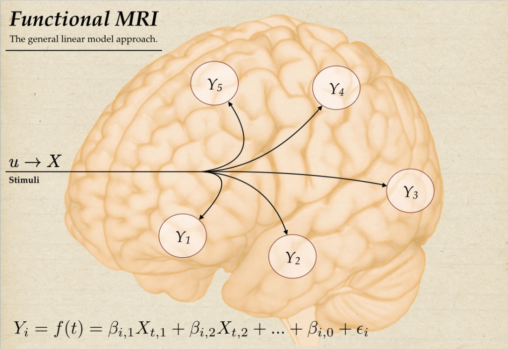 fMRIvsDCM_fMRI